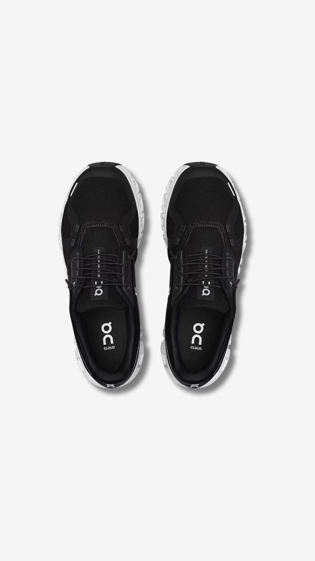 On Cloud 6 (women's)