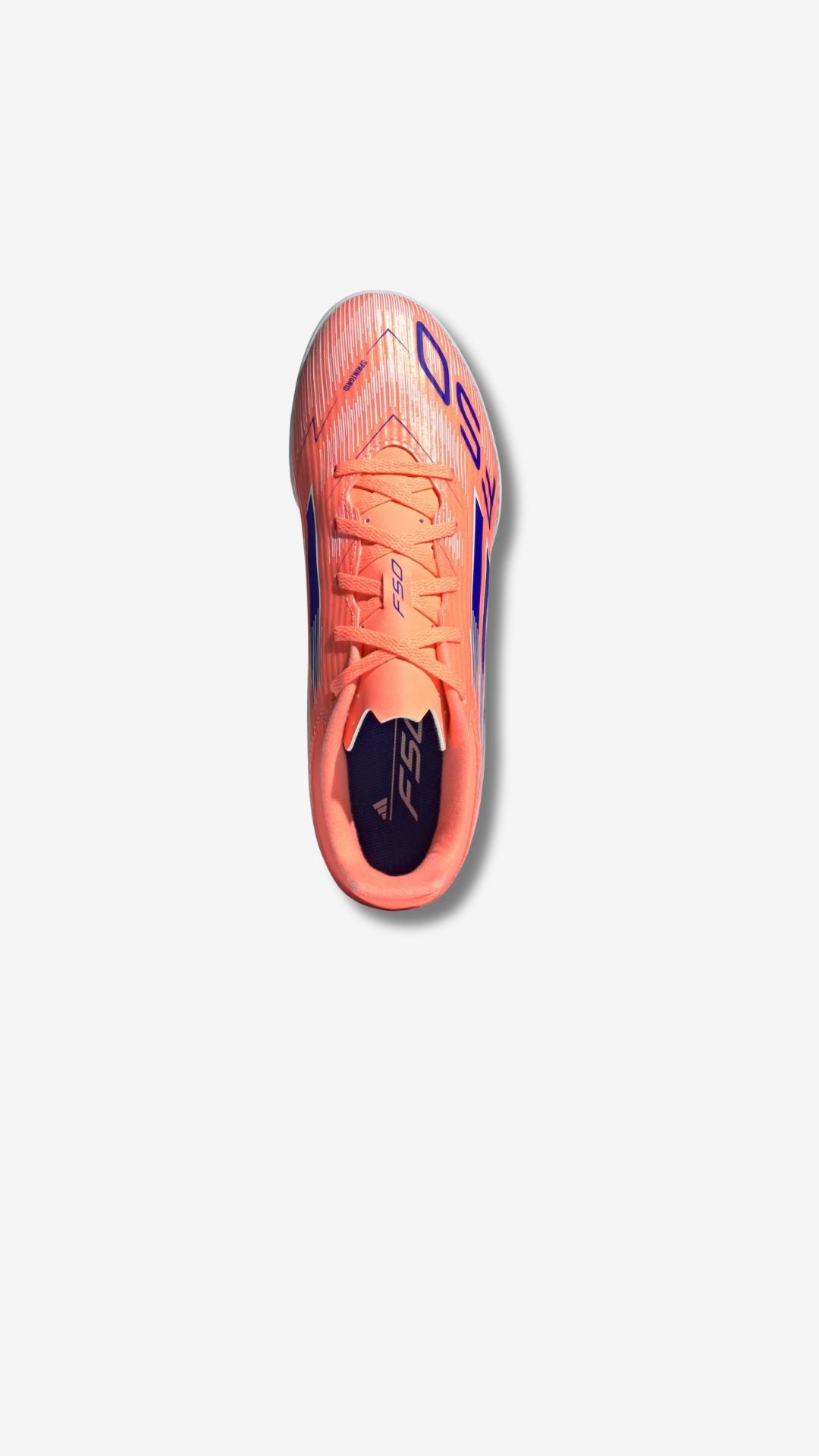 Adidas F50 Club Indoor (men's)