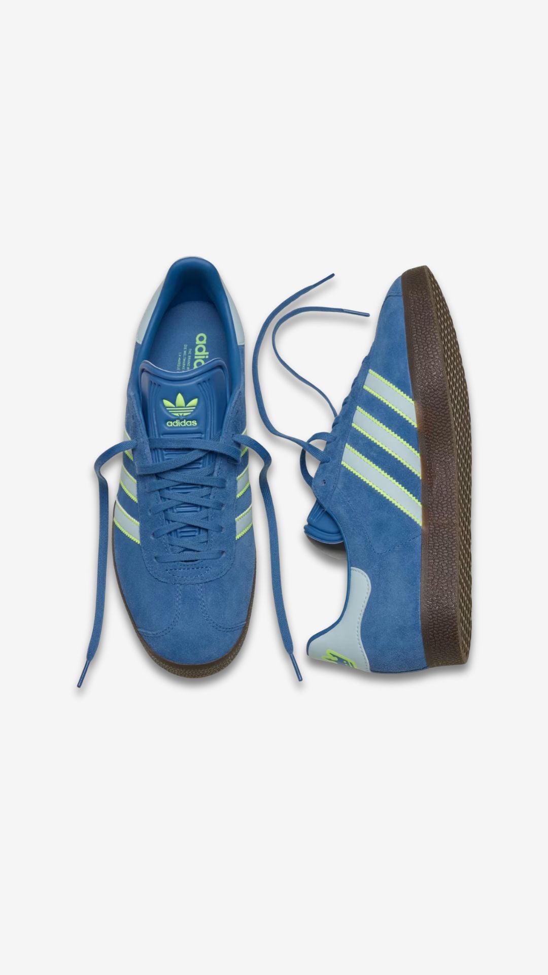 Adidas Gazelle Charlotte FC 2025 (adult)