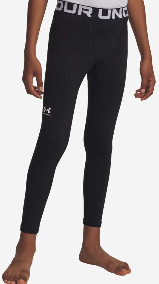 UA ColdGear Leggings (kids)