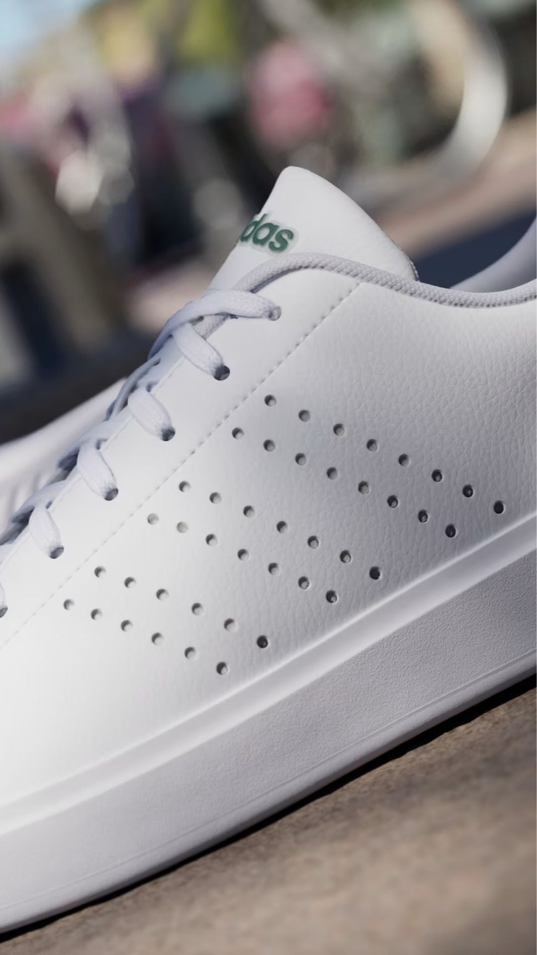 Adidas Advantage 2.0 (men's)