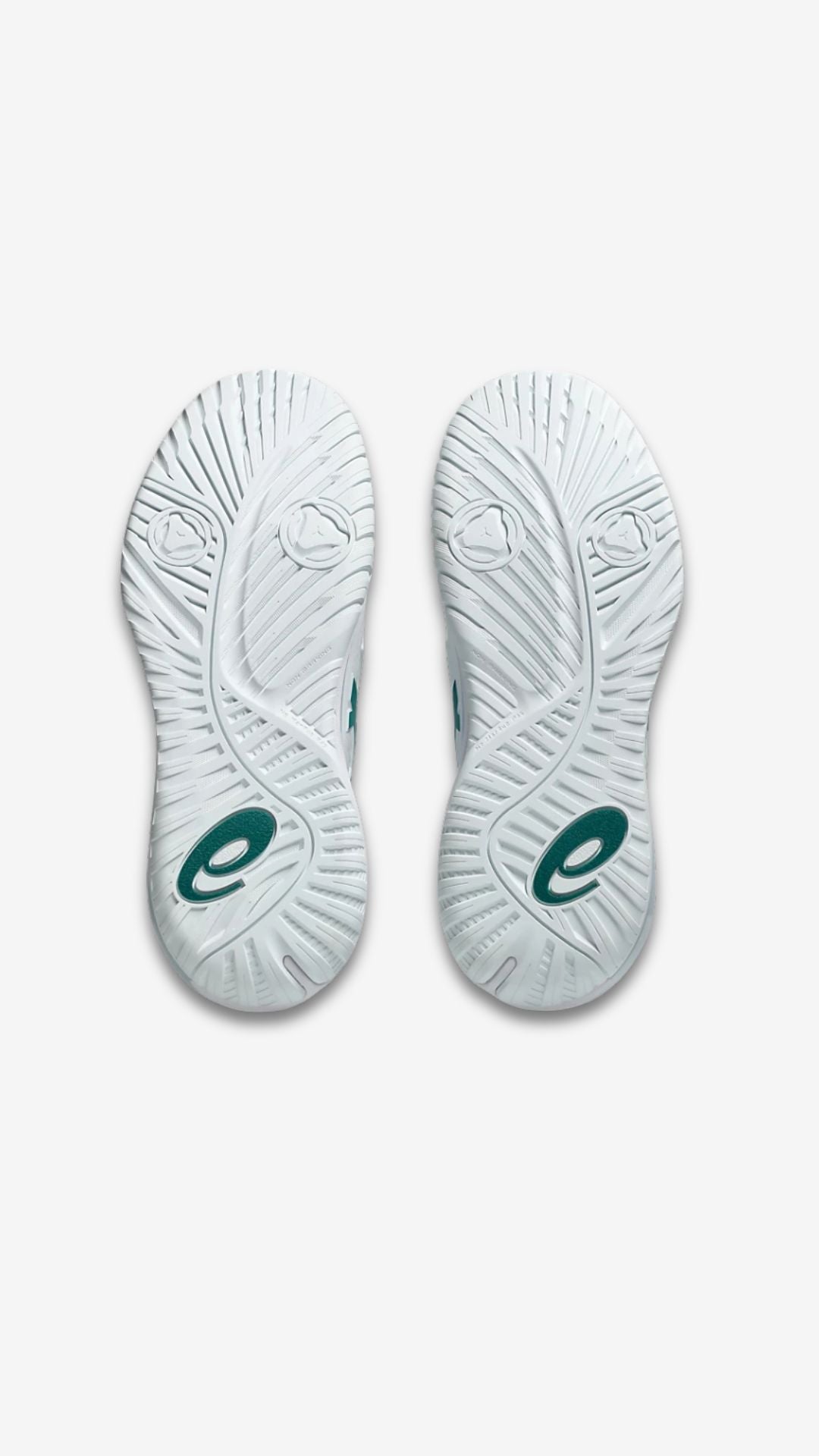 Asics Gel-Resolution X (men's)